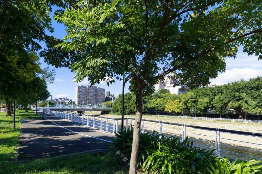 定泰臻翫桃園區環境圖-夢享家
