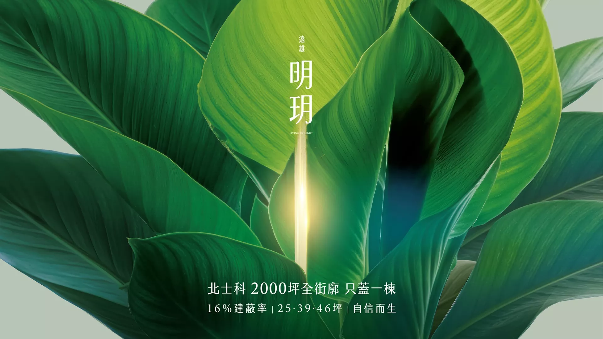 北士科2000坪全街廓 只蓋一棟 16%建蔽率 25~46坪